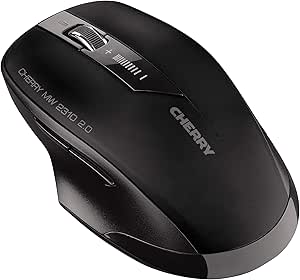 Souris wireless